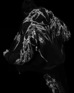 DSC03464 90c5d35e bb31 4a79 baa3 01735fc99df2 1100x.webp